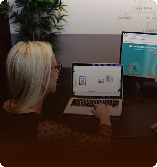 SEO Professionals