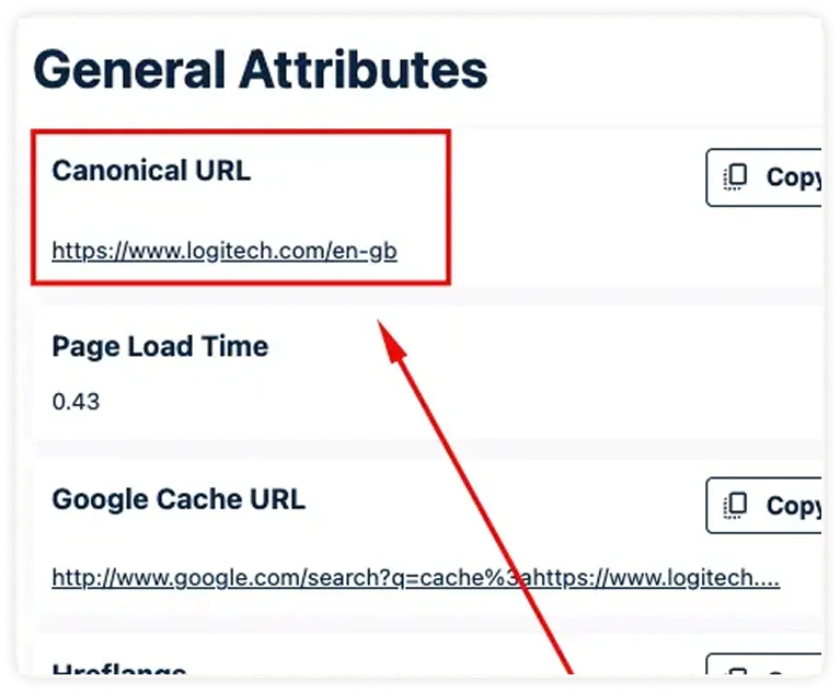 Why Canonical Tags Matter More Than Ever