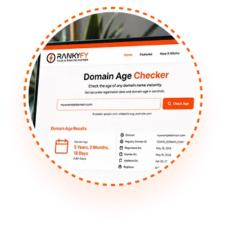 Enter any website URL or domain
