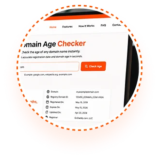 Click “Check Domain Age”