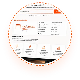 Enter any website URL or domain