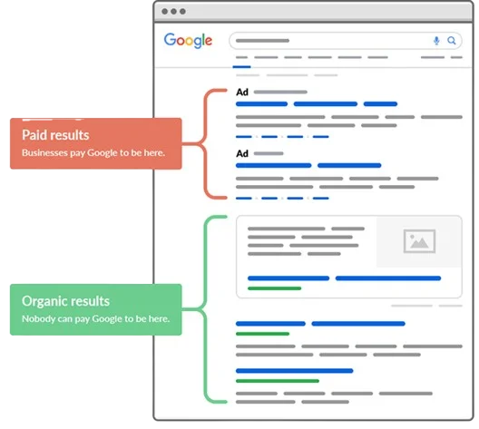 Why SERP Rankings Matter