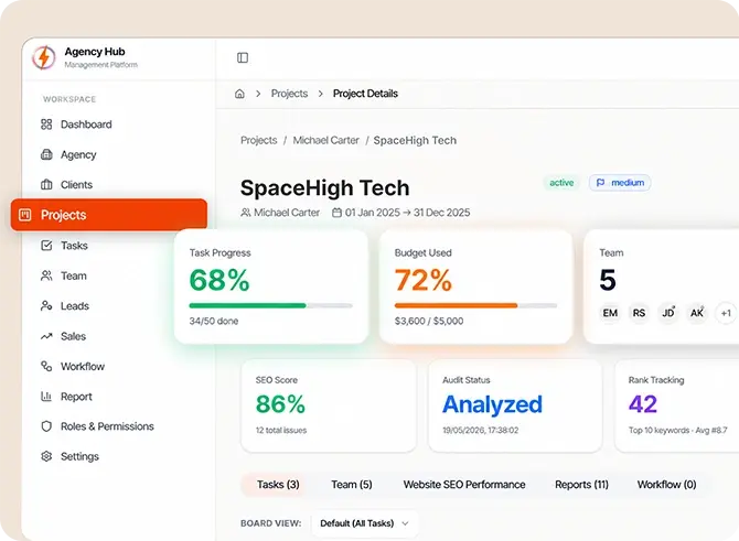 Projects Capacity Analytics Graphics