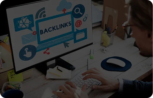Backlink diversity and link source quality
