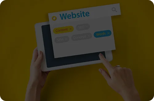 New vs lost referring domains