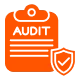 Fast Website Audits